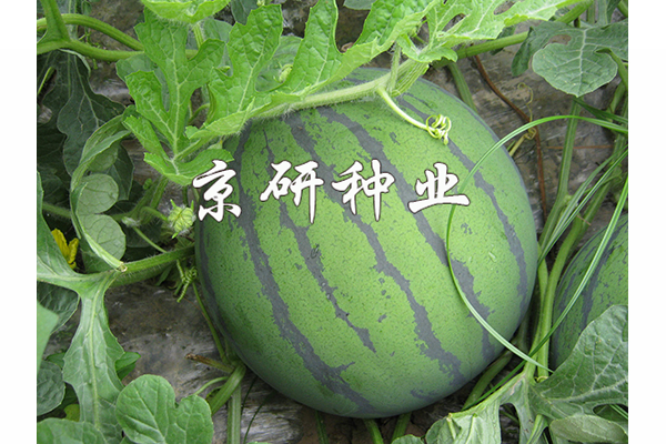 華欣2號(hào)