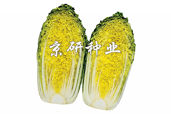 京春娃2號(hào)